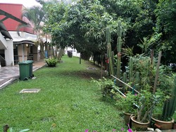 Mayflower Shopping & Food Centre (D20), HDB Shop House #189863222